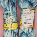 Shades of Turquoise DK Weight Yarn – Variegated (100g / 245 yds)