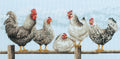 Fence Sitting Hens - Cross Stitch Kit